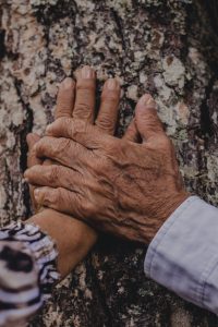 two older people's hands touching on a tree